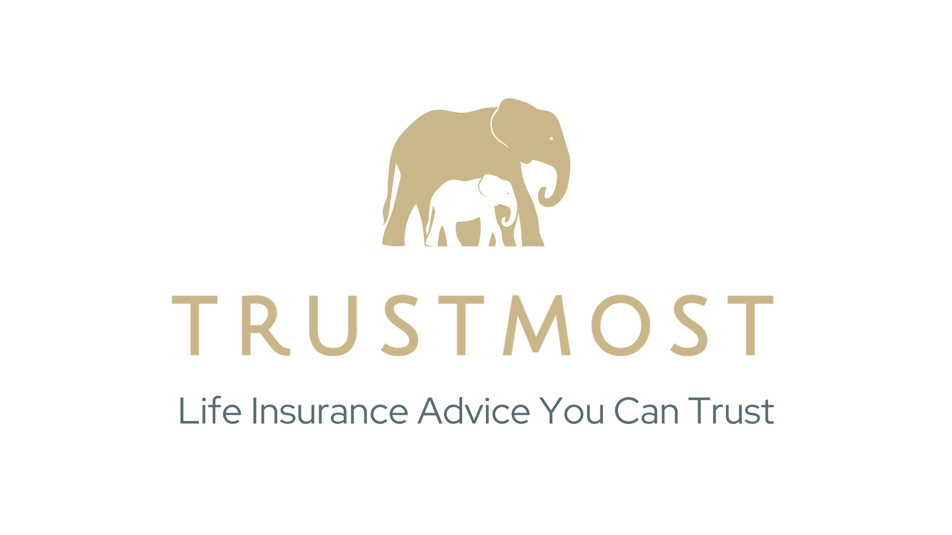 TRUSTMOST logo with tagline (002)