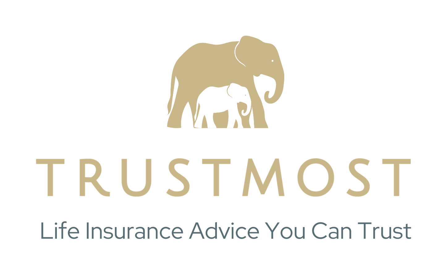TRUSTMOST logo with tagline (002)