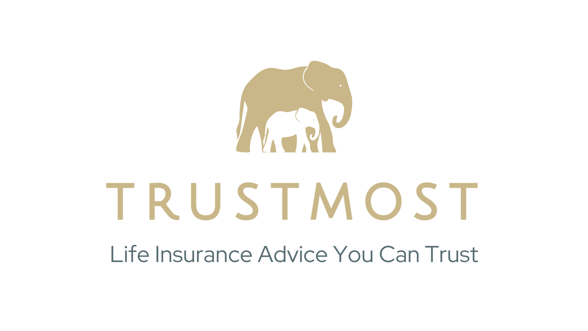 TRUSTMOST logo with tagline (002) TRUSTMOST logo with tagline (002)